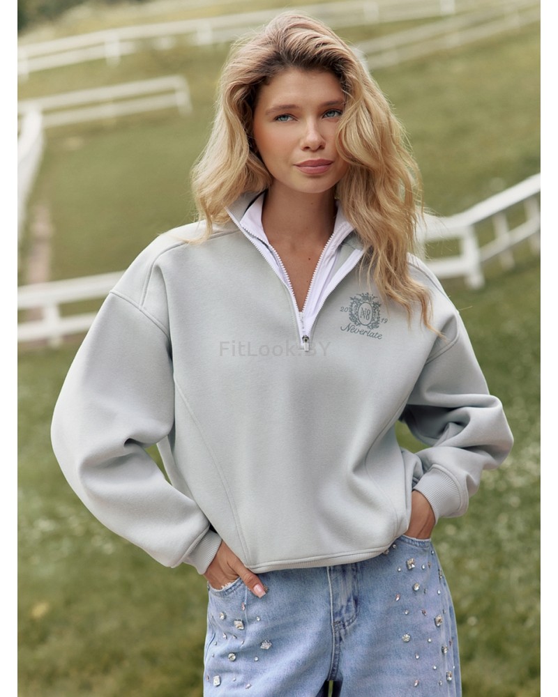 Утепленный свитшот с воротником на молнии NEVERLATE N8 ZIP 