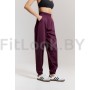 Брюки Forstrong REST FL Plum Vine