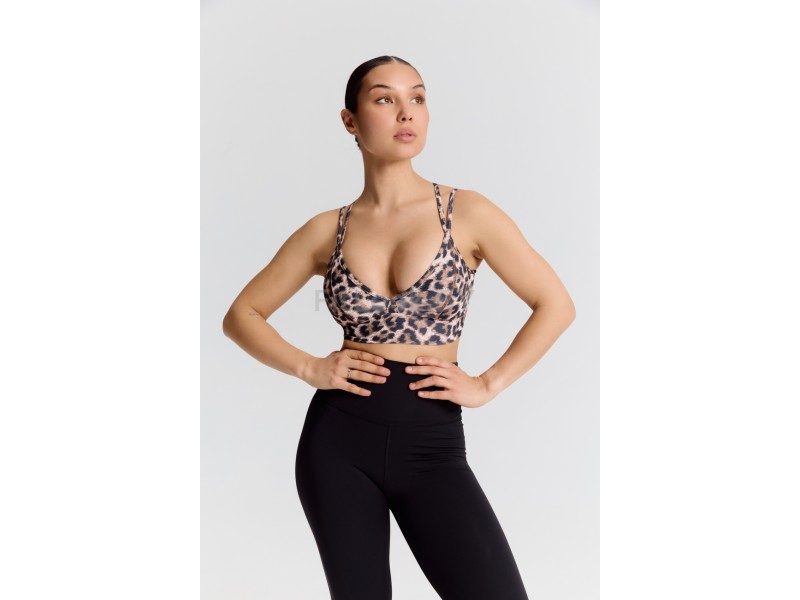 Топ Forstrong Box Leo